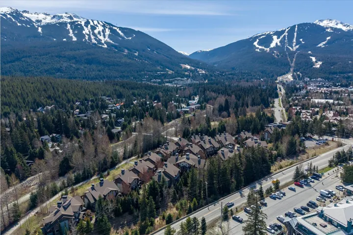 Aerial view of a mountainous background and a heavily wooded area