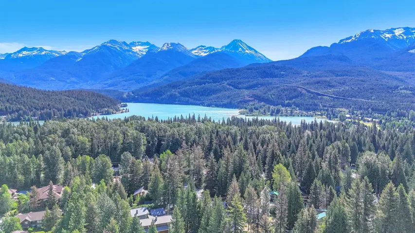 Expansive forest landscape featuring evergreen trees, deciduous trees, and a distant body of water
