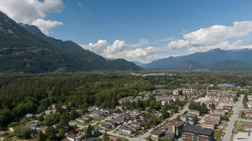 Aerial perspective showcasing a residential community with tree-lined streets and varied architectural styles