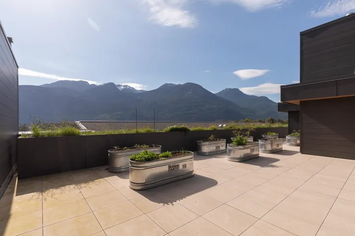 Rooftop patio featuring light-toned square pavers, multiple galvanized planters, and a dark-toned perimeter wall