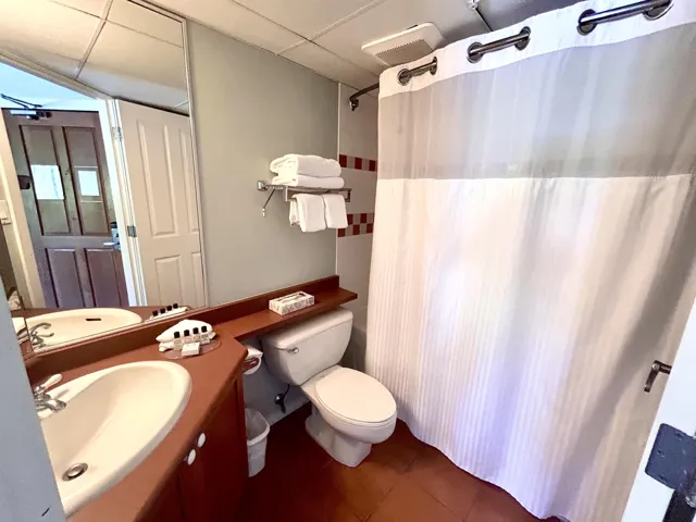 Bathroom featuring a paneled ceiling, dark tile patterned flooring, vanity, and a shower with shower curtain