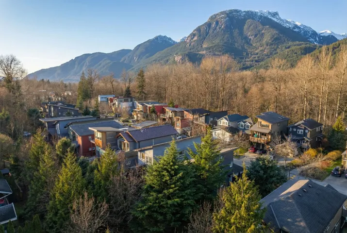 Residential neighborhood with a variety of architectural styles, surrounded by mature trees, against a backdrop of snow-capped mountains