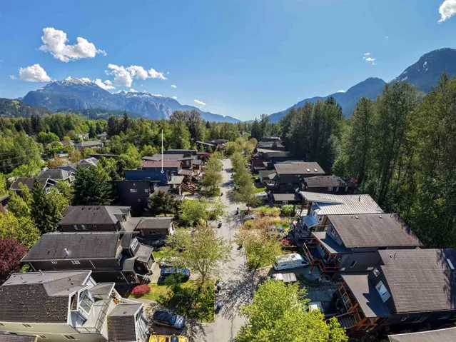 Residential street lined with mature trees, flanked by dense forest, with distant snow-capped mountains under a clear blue sky