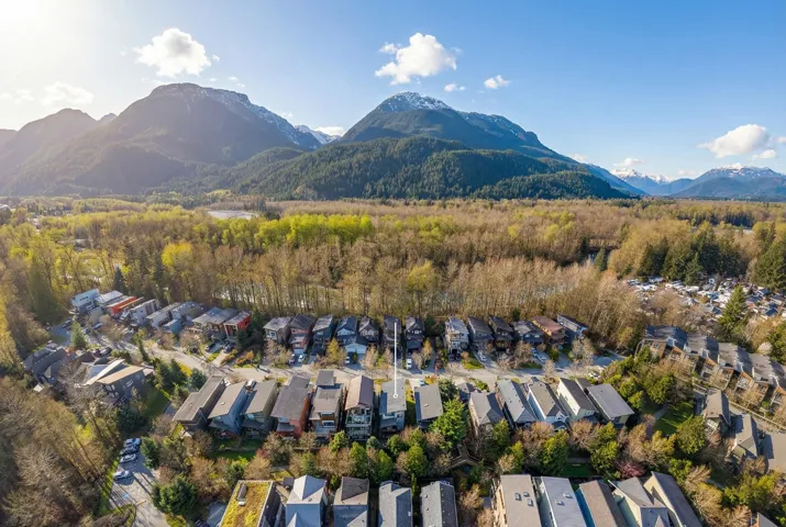 Aerial perspective of a residential street with diverse architectural styles, bordered by mature trees and expansive natural landscapes