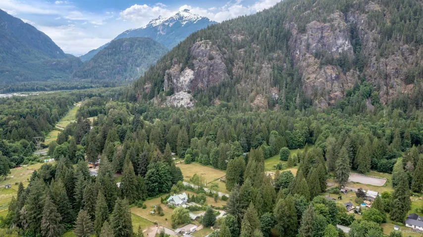 Mountain view with a forest