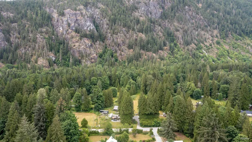 Drone / aerial view of a forest