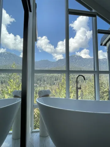 View of mountain backdrop with a heavily wooded area
