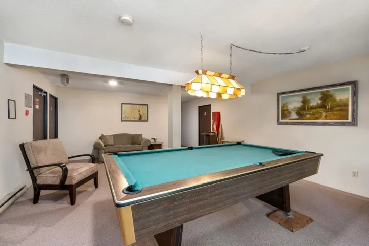 Recreational room featuring a billiard table with a green felt surface and a classic stained-glass style overhead light fixture