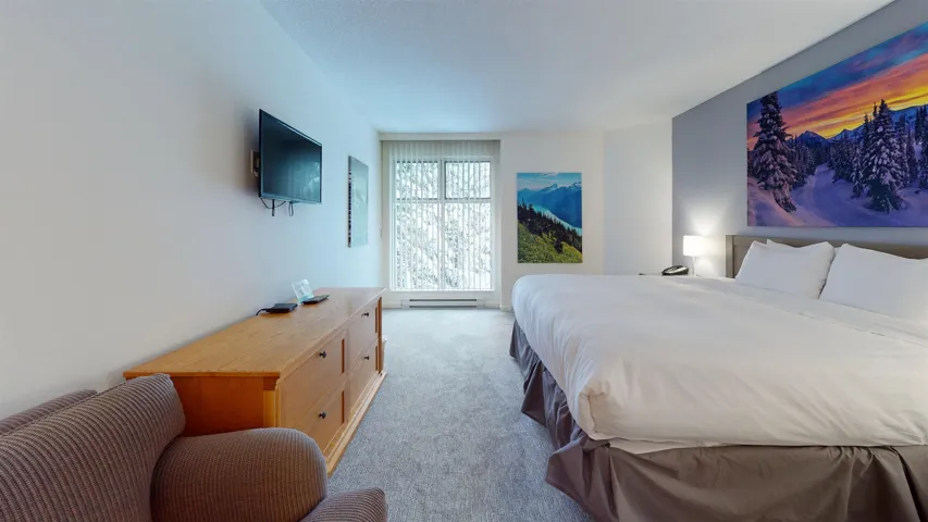 Bedroom featuring carpet and a baseboard heating unit