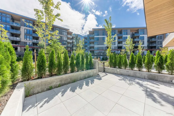 Expansive paver patio with concrete retaining walls and mature evergreen plantings