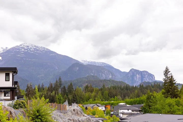 Mountain view with a heavily wooded area