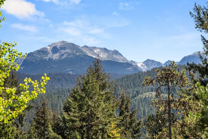 Mountain view featuring a heavily wooded area