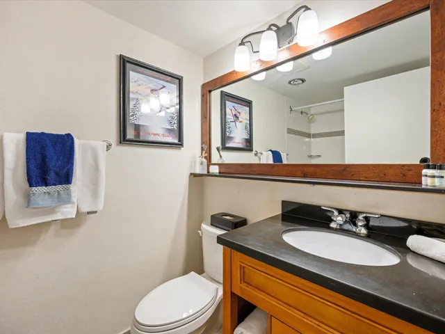 Full bathroom featuring vanity and a shower