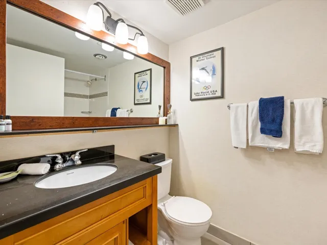 Full bathroom with vanity and a shower