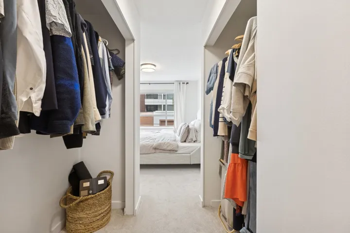 Spacious closet with light carpet