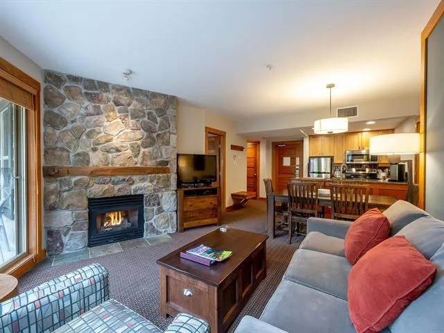 Living area featuring a stone fireplace and dark colored carpet