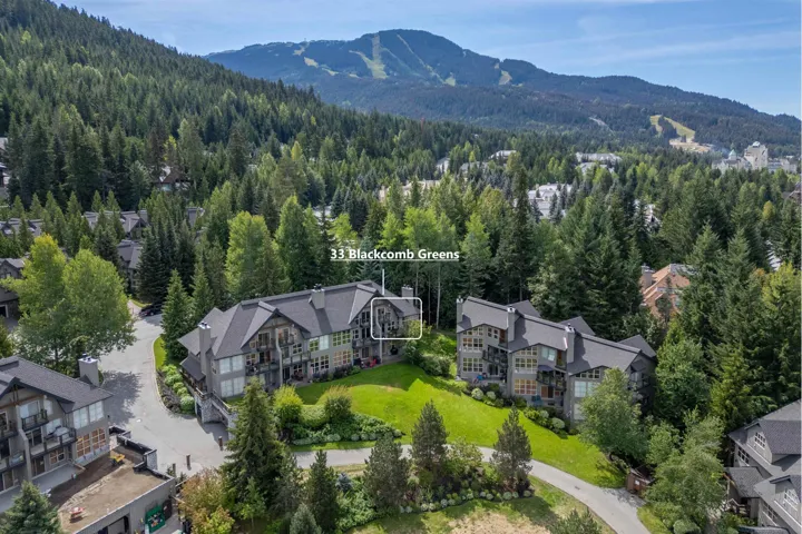 Bird's eye view of mountains and a forest