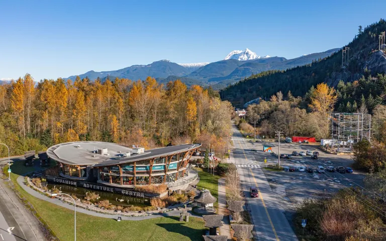 Mountain view with a forest