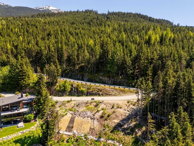 Bird's eye view of a heavily wooded area and a mountain backdrop