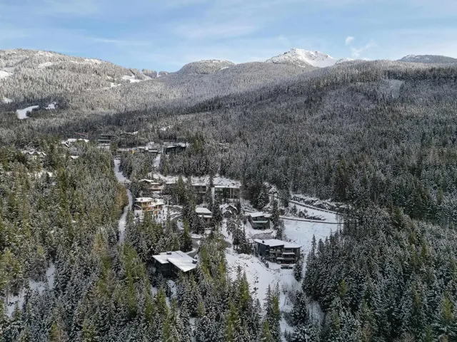 Snowy aerial view with a mountain view and a wooded view
