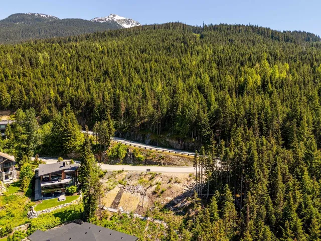 Drone / aerial view of a heavily wooded area and a mountain backdrop