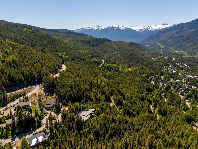 Drone / aerial view of a heavily wooded area and a mountain backdrop
