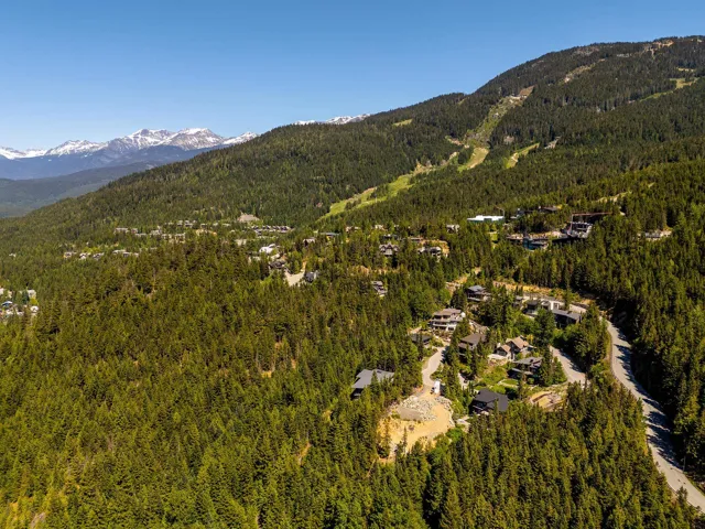 Aerial view of a mountain backdrop and a forest