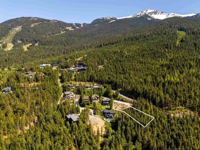 Aerial view of property and surrounding area with a forest and property boundaries highlighted
