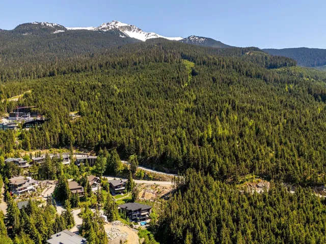 Aerial view of a forest and mountains