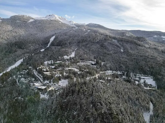 View of mountain background with a forest