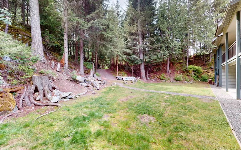 View of grassy yard