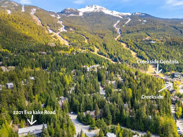 Aerial view of property and surrounding area featuring a heavily wooded area and mountains