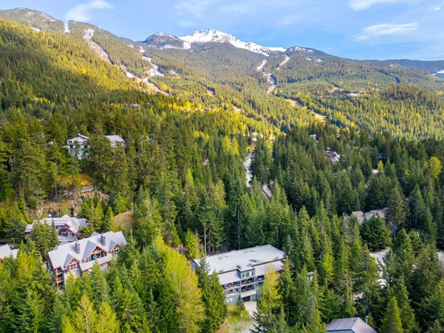 Drone / aerial view of a forest and mountains