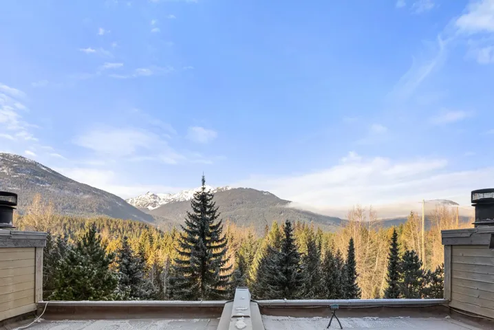 View of mountain backdrop with a forest
