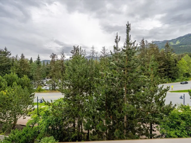 Mountain view with a heavily wooded area