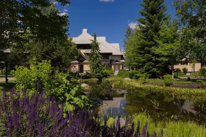 Landscaped property featuring a reflective pond, mature evergreen trees, and vibrant purple flowering plants