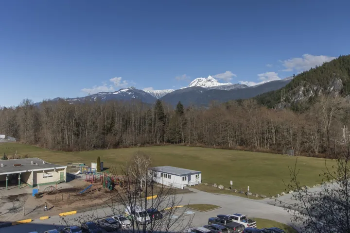 Expansive green field surrounded by mature trees with snow-capped mountains in the background