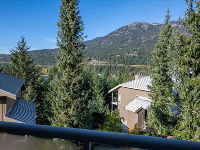 Mountain view featuring a forest view