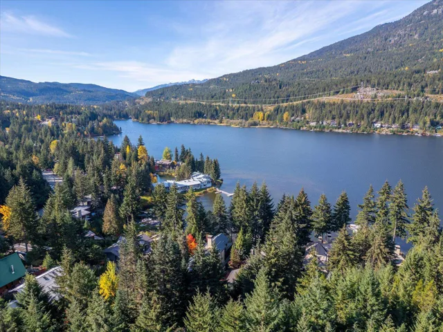 Aerial view featuring a view of trees and a water and mountain view