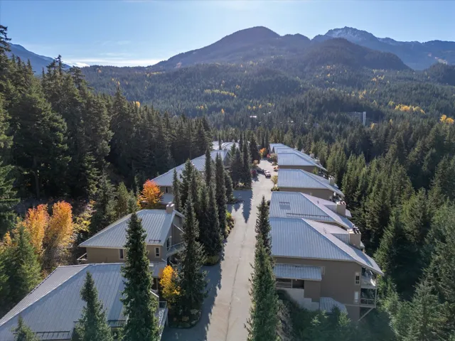 Drone / aerial view featuring a forest view and a mountain view