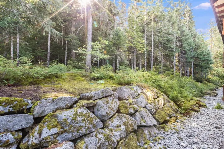 View of wooded area