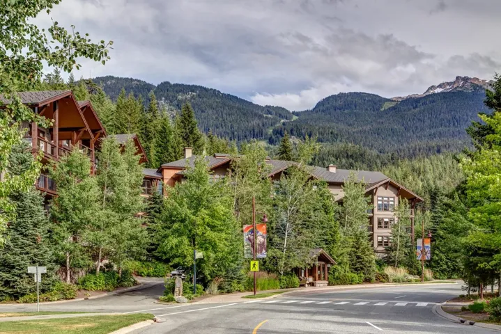 View of mountain background featuring a heavily wooded area