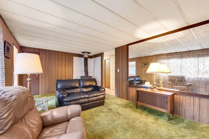 Living room featuring wood walls, carpet floors, and a wood stove