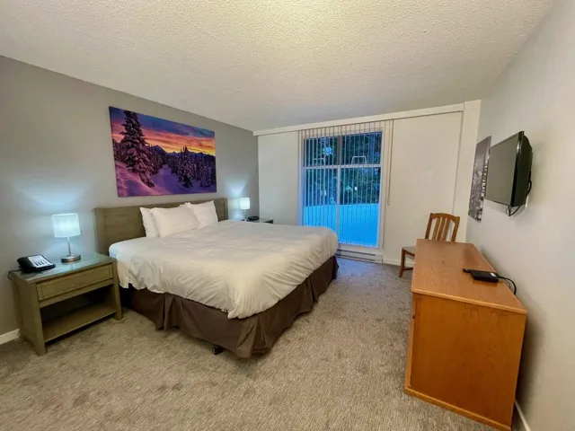 Bedroom with carpet flooring, baseboards, baseboard heating, and a textured ceiling
