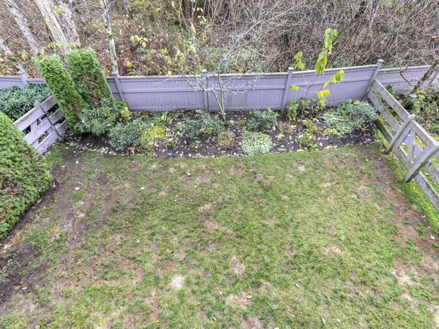 View of fenced backyard