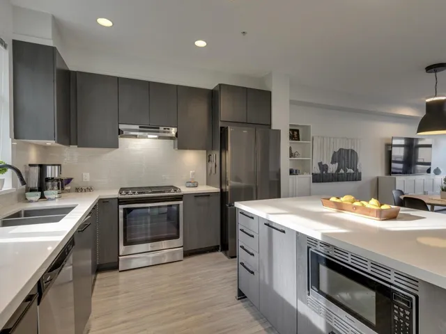 Kitchen featuring stainless steel appliances, modern cabinets, tasteful backsplash, hanging light fixtures, and under cabinet range hood