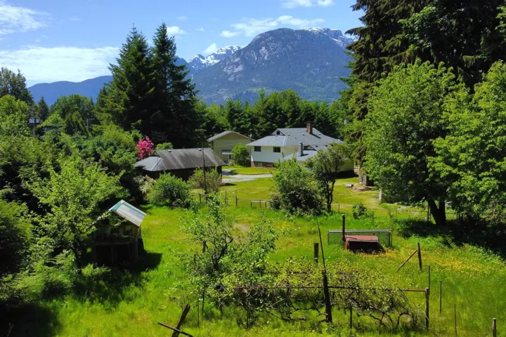 Mountain view, backyard area