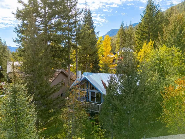 Mountain view featuring a forest