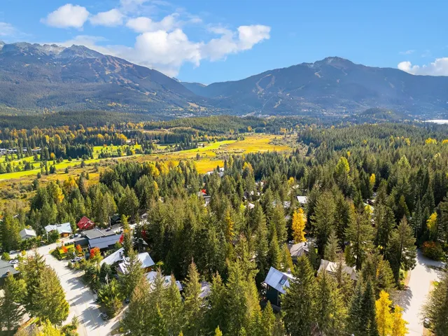 Bird's eye view of a mountain backdrop and a forest