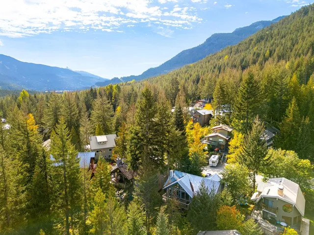 Bird's eye view of a forest and a mountain backdrop